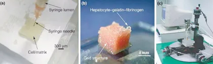 3D打印肝脏类器官有多牛