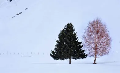 冰雪文化中的可可托海3