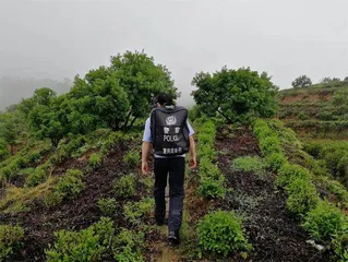 小背包，大民生　小背包，大服务1