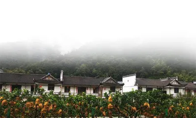 打造巴盐古道乡村振兴示范村