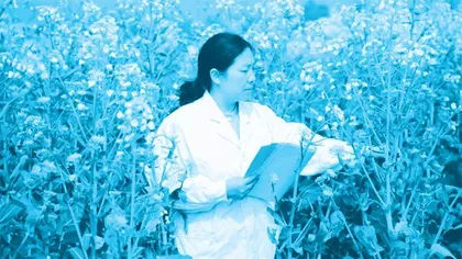 黄桃翠:深耕万亩田, “油”出丰收路1