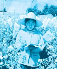 黄桃翠:深耕万亩田, “油”出丰收路2