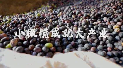 发挥融合优势,讲好进博故事5