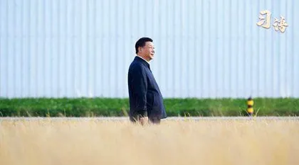 系列视频：习语4