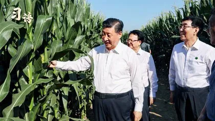 系列视频：习语