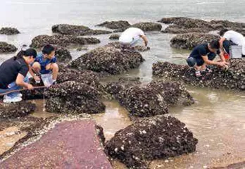 靠海吃海，澳门寻鲜2