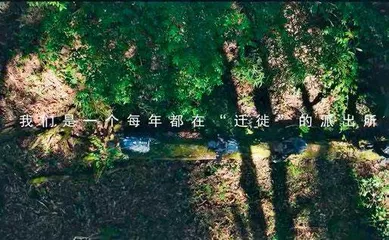 聚焦热点  直面难点  打造亮点 10