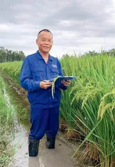 “巴基斯坦袁隆平”