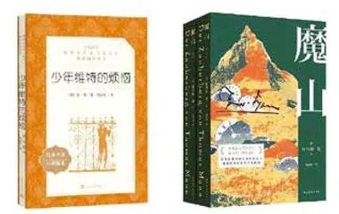 杨武能，走进德国文学的“魔山”3