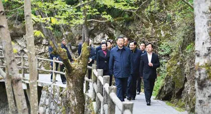 人不负青山，青山定不负人3