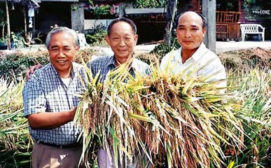 走过“八十一难”，成为袁隆平5