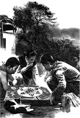 沉默的棋盘