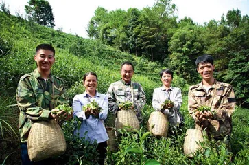 广西：关爱退役军人  续写尊崇荣光2