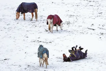 冰雪，好热5