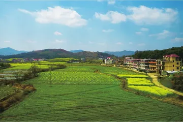 湘南大山里的养猪哲学