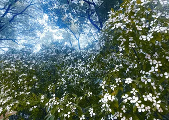 最后一门植物课2