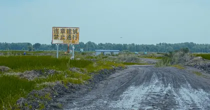 “浮桥案”调查