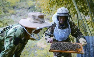 自雇年代：用热情算法生成个体自足2