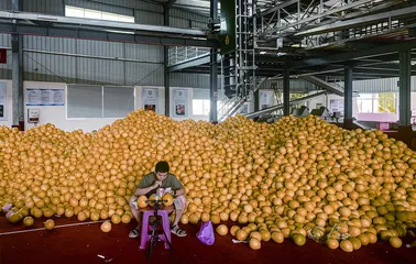 野生网红的情怀、流量与卖货2