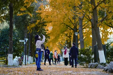 城市群经济的新时代1