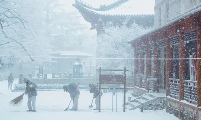 在寺院体验禅修，我治好了精神内耗2