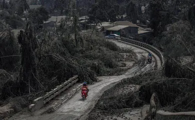 塔阿尔火山的邻居8