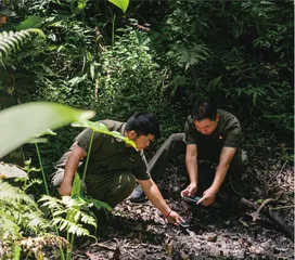 等待野象归来1