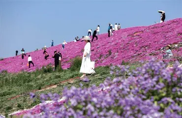 渭河安澜，西安北跨2