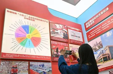 促进中小企业向专精特新发展