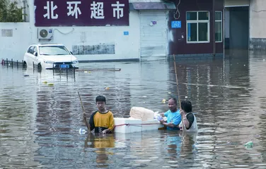 这一年，我们的脆弱与韧性1