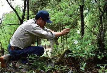 孙卫邦：搭建“植物ICU”