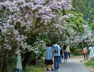 国家植物园：扩容增效整合记2