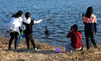 北京破题水生态修复2