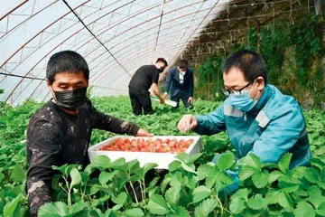 盘锦助农“乡村邮路”：交邮合作点亮城乡幸福之光