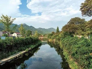 三溪村样本：解码乡村振兴困局