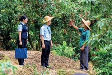 邮储银行：普惠金融助力乡村振兴绘就高质量发展新篇章1