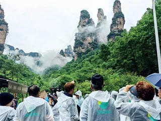 张家界：韩国人的尽孝圣地？