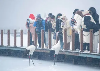 寒潮来了