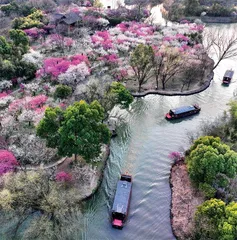 春暖花开