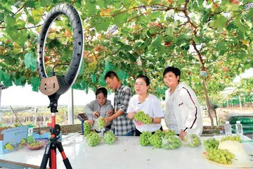 返乡突围就业市场的大学毕业生