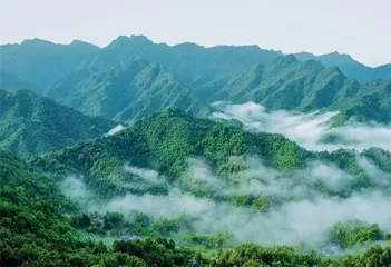 旧貌焕新颜：驻村帮扶如何打通乡村“致富路”？