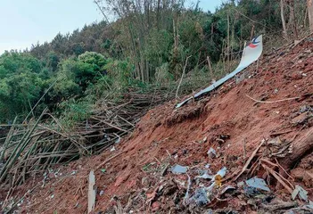 东航梧州空难：“极其罕见的情况”0