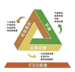 披露变“纰漏”？ESG如何走得更远0