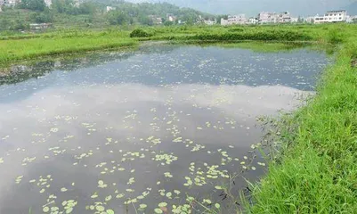 “川农大”的扶贫路