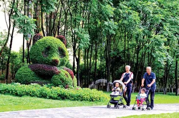 “幸福城市”背后，成都有机更新进行时2