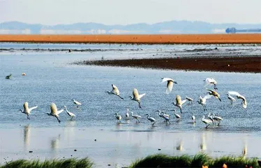 鄱阳湖水位止跌回升0