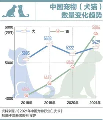 问诊宠物医疗3