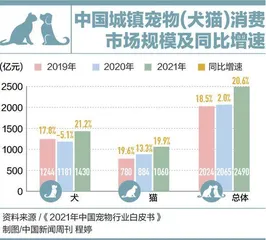 宠物的食品焦虑5