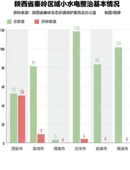 秦岭小水电整治难题2