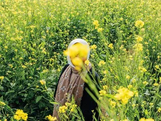 双面科威特：繁华城市与内心伤痛10